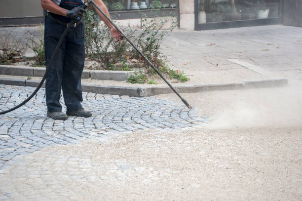 Best Soft Washing for Delicate Surfaces in Plattsburgh West, NY
